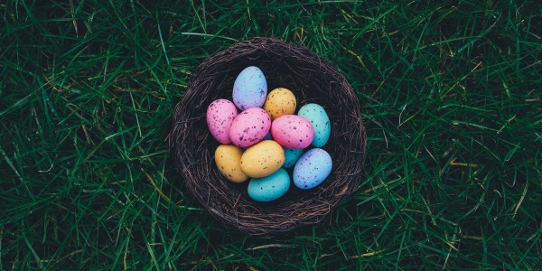 Blog: 3 Easter 2019